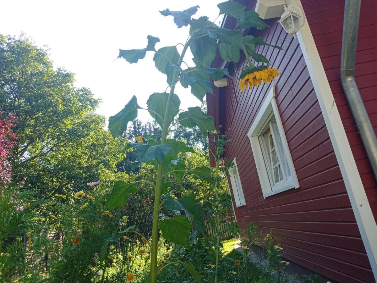 Ferienhaus Am Wald Wippra Εξωτερικό φωτογραφία