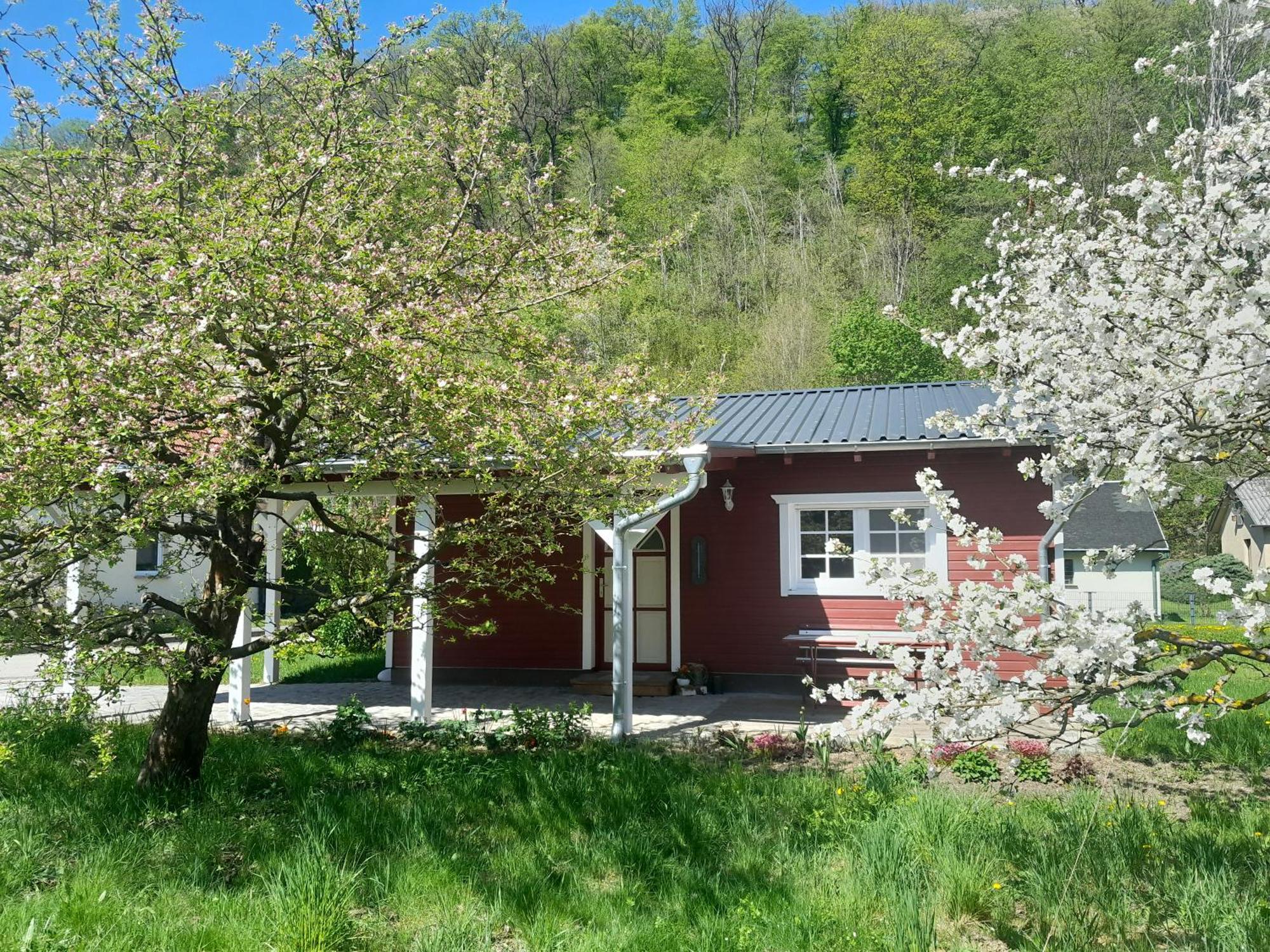 Ferienhaus Am Wald Wippra Εξωτερικό φωτογραφία